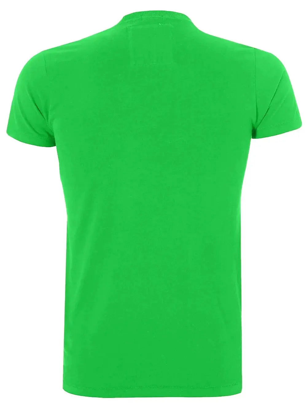 Camiseta A&F Masculina Muscle Logo Display Embroidered Verde